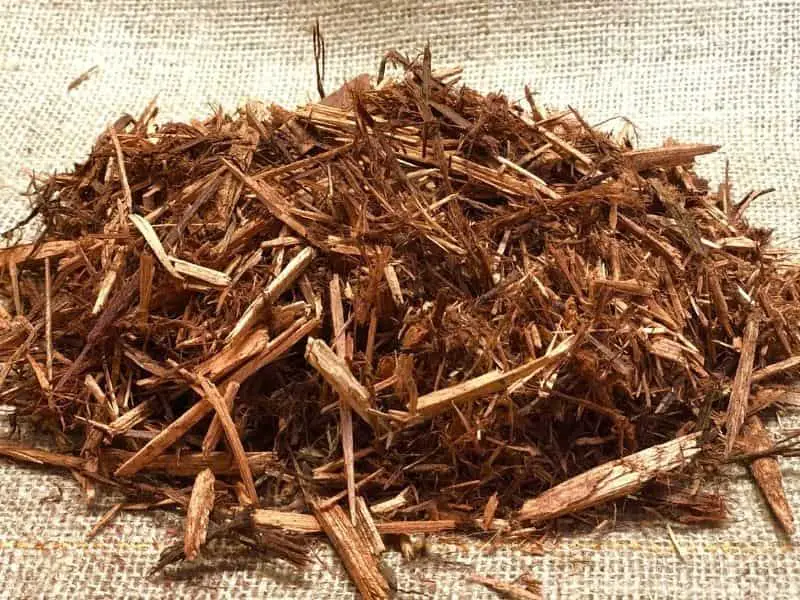 Cypress mulch substrate for crested gecko