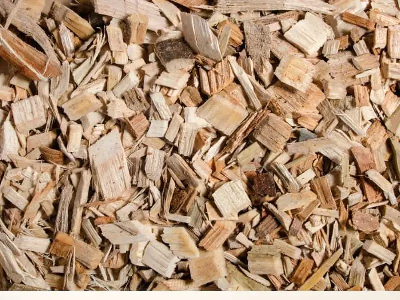 Wood chips for crested gecko